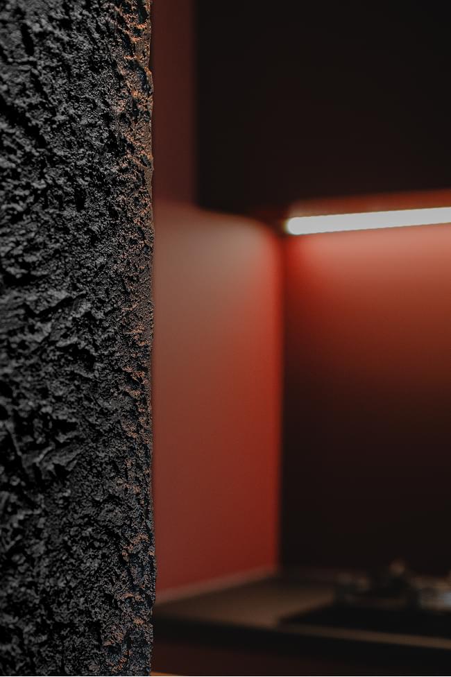 Project Image 5